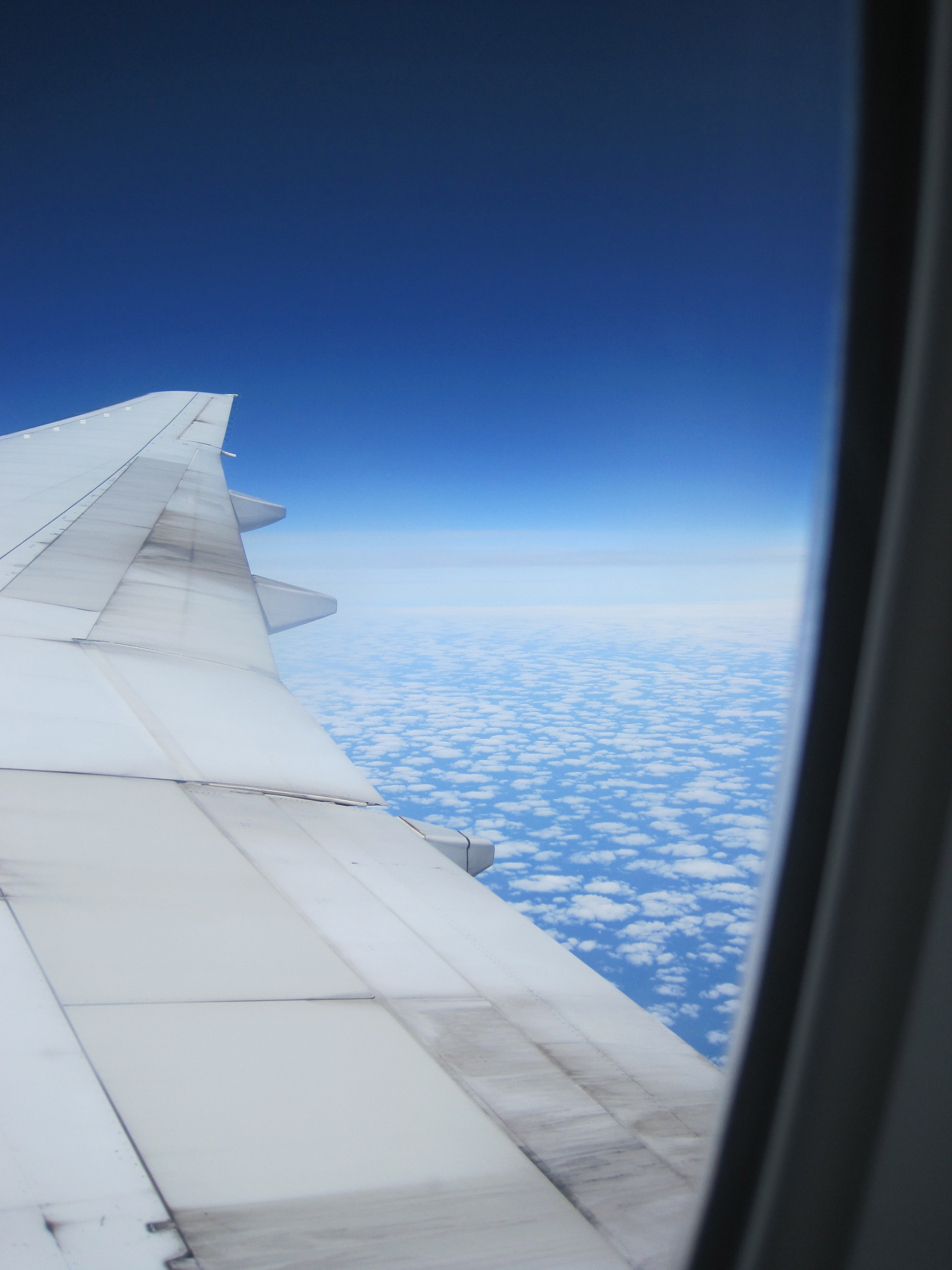 Plane wing