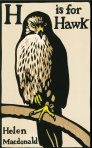 Helen-Macdonald-H-is-for-Hawk